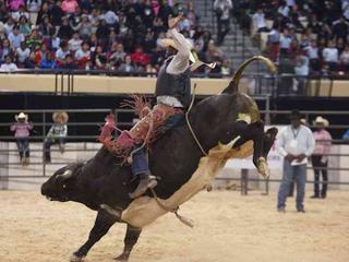Bill Pickett Invitational Rodeo
