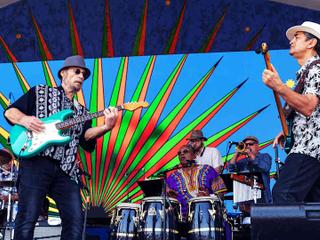 Little Feat