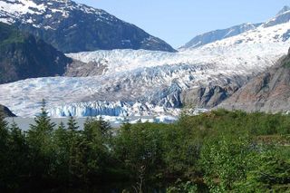Mendenhall Glacier Trolley Tour