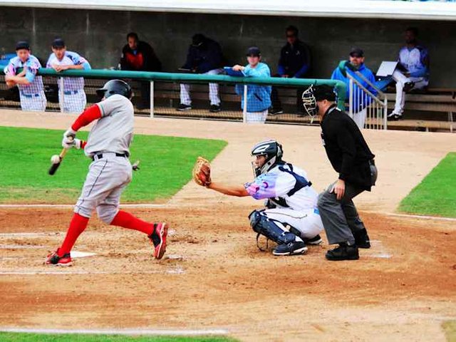 Charleston RiverDogs at Myrtle Beach Pelicans