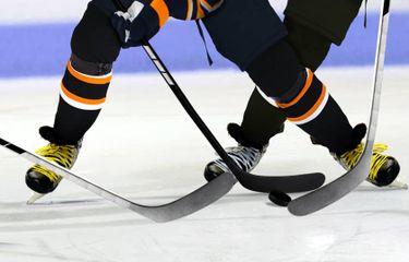 Union Garnet Chargers at Brown Bears Men's Hockey