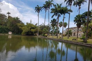 Barbados Amazing Full Day Private Rural Excursion