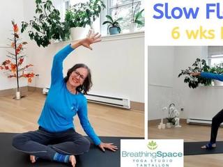 Slow Flow Yoga - 6wks program