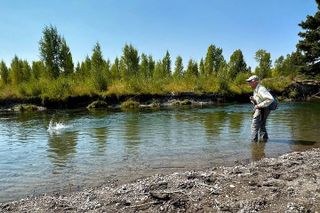 Private Fly Fishing Adventure in the Jackson Hole Backcountry