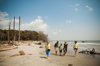 Capers Island Wildlife Exploration