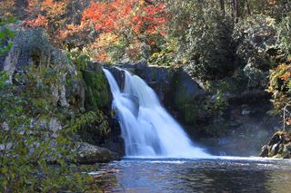 Great Smoky Mountains & Cades Cove Self-Guided Driving Tours