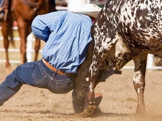 The Run for a Million - Reining Challenge