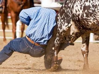 Canby Rodeo
