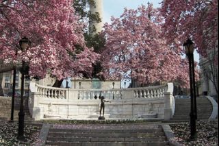 Mount Vernon & The Millionaires, 2 hour walking tour