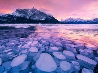 Winter Tour Peyto Lake Ice Bubbles at Abraham Lake Frozen Trip