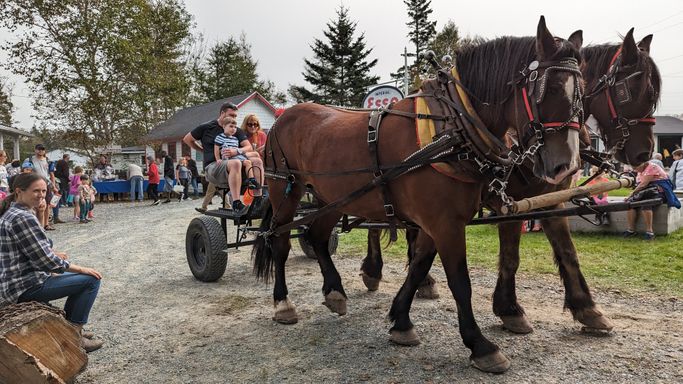 Nova Scotia Forest Festival