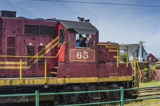 Skunk Train: Wolf Tree Turn from Willits