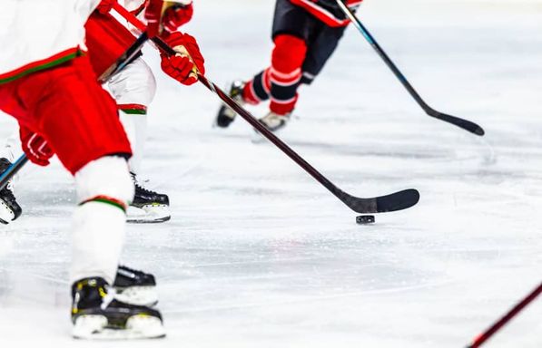Elmira River Sharks at Motor City Rockers
