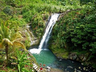 Full-Day Tour: Concord Waterfall, Chocolate Factory, Rum Distillery, Grand Etang