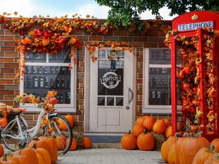 Pumpkin Patch in Miami