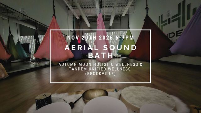 Aerial Sound Bath Immersion (By Autumn Moon Holistic Wellness)