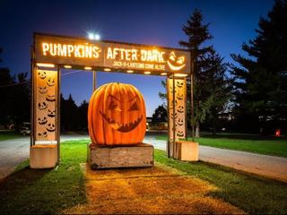 Pumpkins After Dark