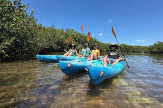 2 Hour Mangrove Maze Kayak Tour in Key West
