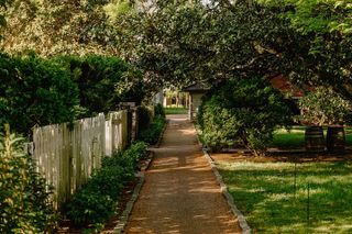 Belle Meade Guided Mansion Tour with Complimentary Wine Tasting