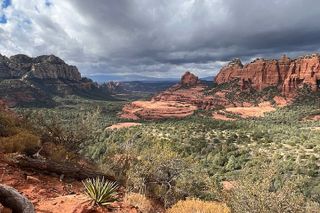 Schnebly Hill Jeep Tour: Rugged Rim Views & Historic 4x4 Road