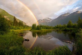 NEW: Eagle River Nature Center Half Day Walk