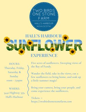 The Halls Harbour Sunflower Experience