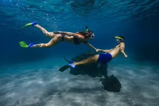 Turtle Town Signature Snorkel: With Photo & Video