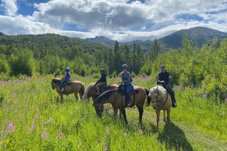 Horseback & Zipline Adventure in Alaska Mountains includes Lunch