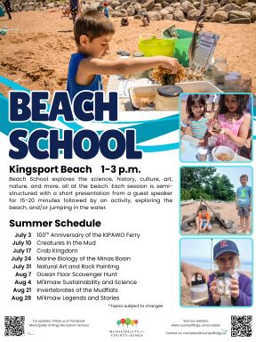 Beach School