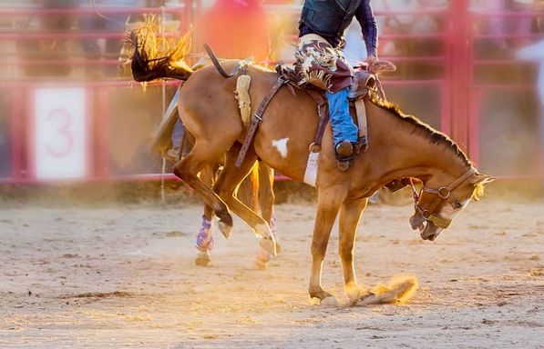 Canby Rodeo