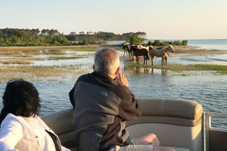 Chincoteague's and Assateague’s Grand Boat Tour with Capt.John