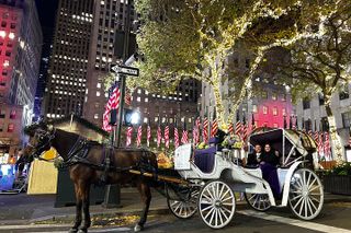 Amazing Horse and Carriage Rockefeller and Christmas lights tour