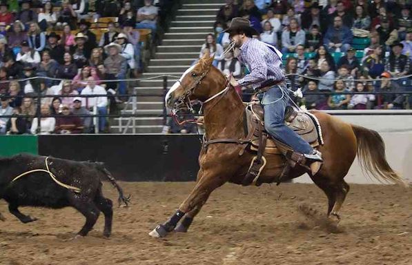 Ellensburg Rodeo