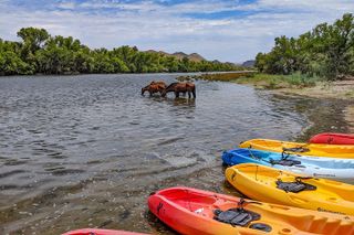 Kayaking the Salt River Foxtail Trip