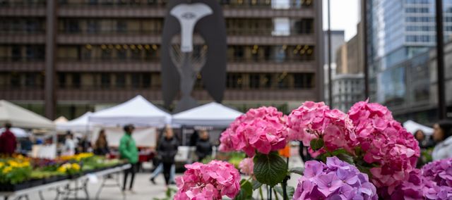 Division Street Farmers Market