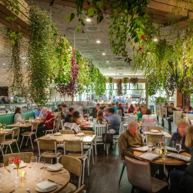 Ambar - Arlington