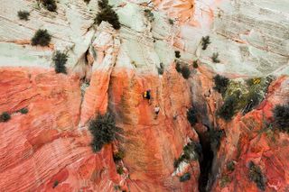 "Tallest in Utah" Via Ferrata & Rappelling (4 hr)