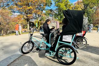 Central Park Private Pedicab Tour (2hrs)