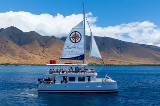 Four Winds Maui Afternoon Snorkel Tour to Coral Gardens