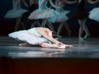 Swan Lake
