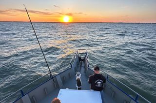 Ocean Sunset Dolphin & Sealife Cruise in Murrells Inlet