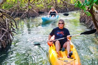 Private Mangrove Tunnel & Manatee Kayak Tour — Lido Key