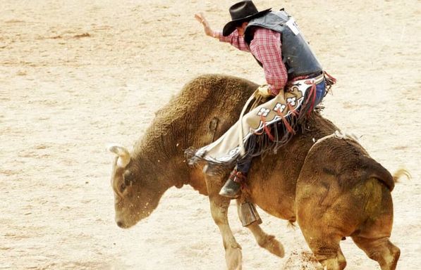 SERA Rodeo