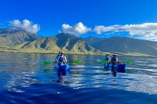 Turtle Town Coastal Kayak & Snorkel: Turtles Guaranteed