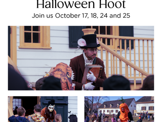 Halloween Hoot