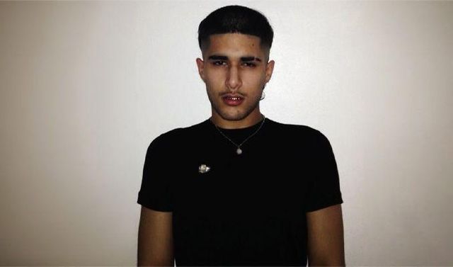 fakemink
