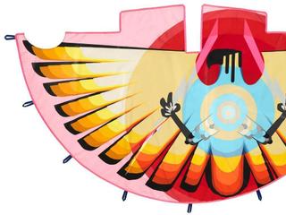 Arts of Indigenous America