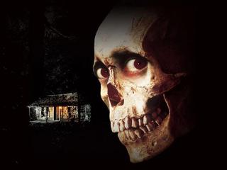 Evil Dead II: Dead by Dawn