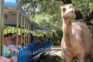 Brevard Zoo General Admission