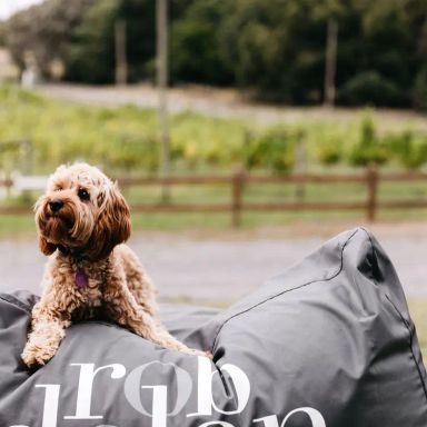 Rob Dolan Wines